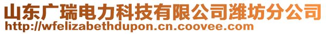 山東廣瑞電力科技有限公司濰坊分公司