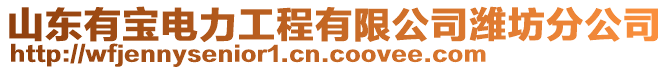 山東有寶電力工程有限公司濰坊分公司