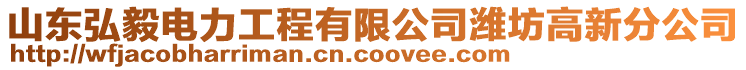 山東弘毅電力工程有限公司濰坊高新分公司