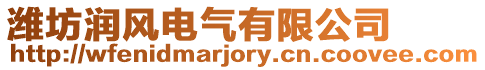 濰坊潤風電氣有限公司