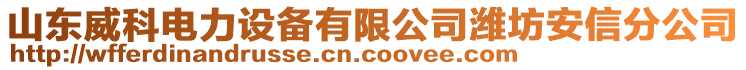 山東威科電力設(shè)備有限公司濰坊安信分公司