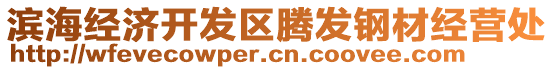 濱海經(jīng)濟開發(fā)區(qū)騰發(fā)鋼材經(jīng)營處