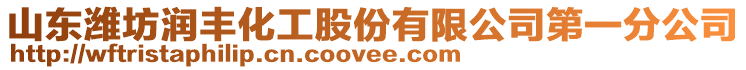 山東濰坊潤豐化工股份有限公司第一分公司