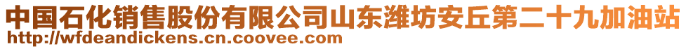 中國石化銷售股份有限公司山東濰坊安丘第二十九加油站