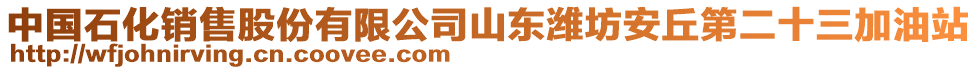 中國(guó)石化銷(xiāo)售股份有限公司山東濰坊安丘第二十三加油站