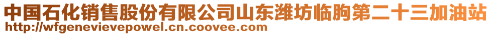 中國石化銷售股份有限公司山東濰坊臨朐第二十三加油站