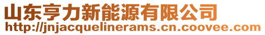 山東亨力新能源有限公司