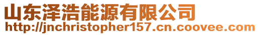 山東澤浩能源有限公司