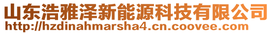 山東浩雅澤新能源科技有限公司