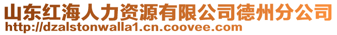 山東紅海人力資源有限公司德州分公司