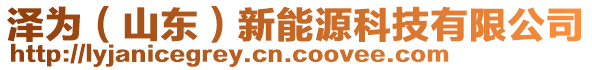 澤為（山東）新能源科技有限公司