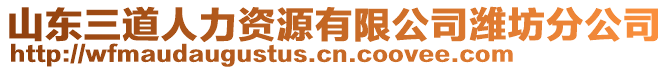 山東三道人力資源有限公司濰坊分公司