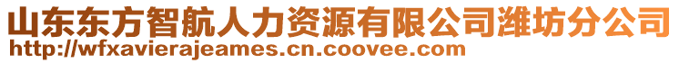 山東東方智航人力資源有限公司濰坊分公司