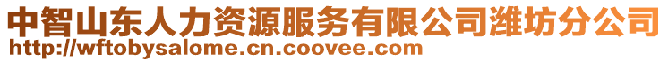 中智山東人力資源服務(wù)有限公司濰坊分公司