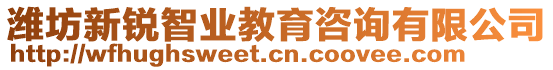 濰坊新銳智業(yè)教育咨詢(xún)有限公司