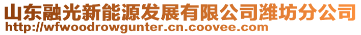 山東融光新能源發展有限公司濰坊分公司