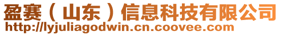盈賽(山東)信息科技有限公司