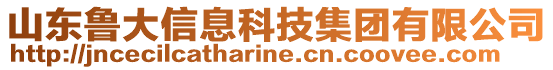 山東魯大信息科技集團(tuán)有限公司