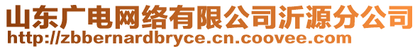 山東廣電網絡有限公司沂源分公司