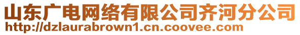 山東廣電網絡有限公司齊河分公司