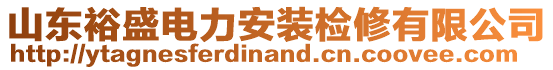 山東裕盛電力安裝檢修有限公司