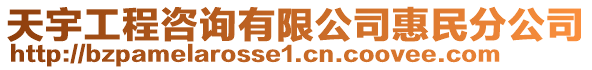 天宇工程咨詢有限公司惠民分公司