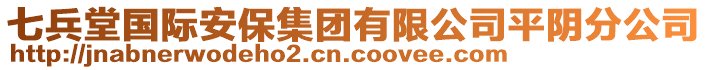 七兵堂國際安保集團有限公司平陰分公司