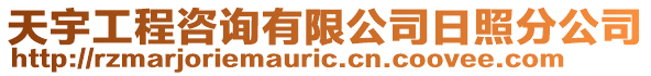 天宇工程咨詢有限公司日照分公司