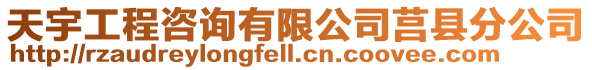 天宇工程咨詢有限公司莒縣分公司