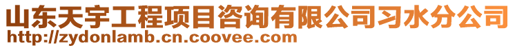 山東天宇工程項目咨詢有限公司習水分公司