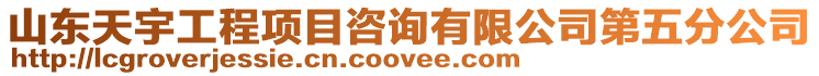 山東天宇工程項目咨詢有限公司第五分公司