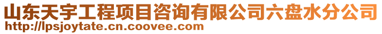 山東天宇工程項(xiàng)目咨詢有限公司六盤水分公司