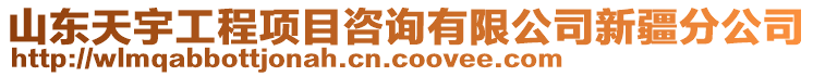 山東天宇工程項目咨詢有限公司新疆分公司