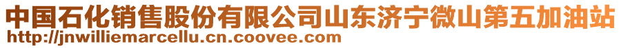 中國石化銷售股份有限公司山東濟(jì)寧微山第五加油站