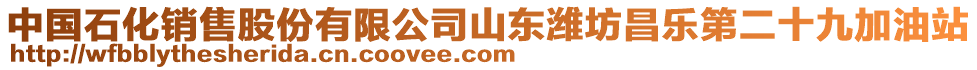 中國石化銷售股份有限公司山東濰坊昌樂第二十九加油站