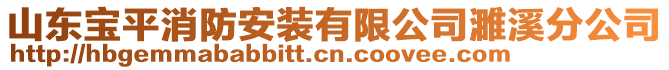 山東寶平消防安裝有限公司濉溪分公司