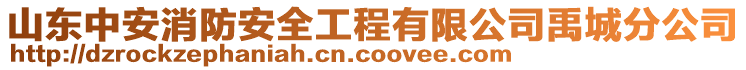 山東中安消防安全工程有限公司禹城分公司