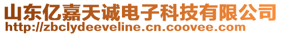 山東億嘉天誠電子科技有限公司