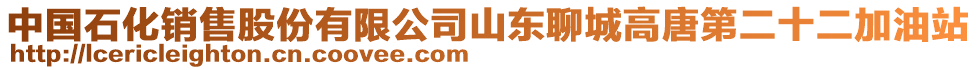 中國(guó)石化銷售股份有限公司山東聊城高唐第二十二加油站