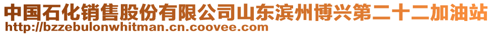 中國石化銷售股份有限公司山東濱州博興第二十二加油站