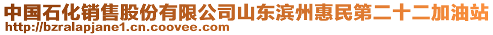 中國石化銷售股份有限公司山東濱州惠民第二十二加油站