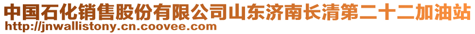 中國石化銷售股份有限公司山東濟(jì)南長清第二十二加油站