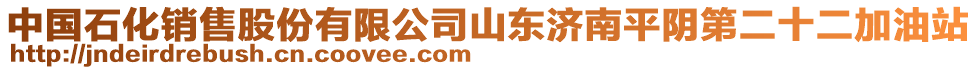 中國石化銷售股份有限公司山東濟(jì)南平陰第二十二加油站