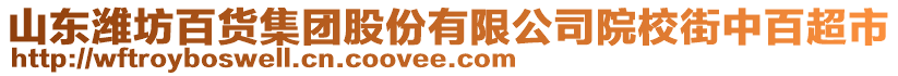 山東濰坊百貨集團(tuán)股份有限公司院校街中百超市