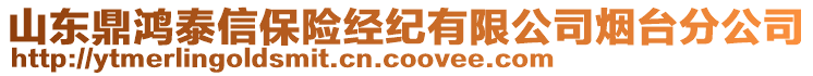 山東鼎鴻泰信保險經(jīng)紀(jì)有限公司煙臺分公司