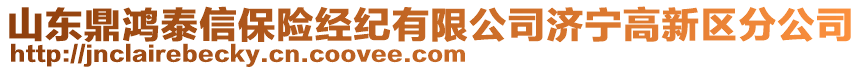 山東鼎鴻泰信保險(xiǎn)經(jīng)紀(jì)有限公司濟(jì)寧高新區(qū)分公司