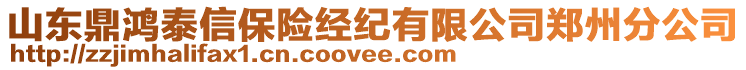 山東鼎鴻泰信保險經(jīng)紀(jì)有限公司鄭州分公司