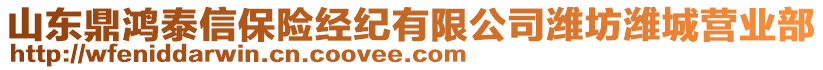 山東鼎鴻泰信保險(xiǎn)經(jīng)紀(jì)有限公司濰坊濰城營(yíng)業(yè)部