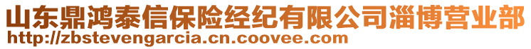 山東鼎鴻泰信保險(xiǎn)經(jīng)紀(jì)有限公司淄博營(yíng)業(yè)部