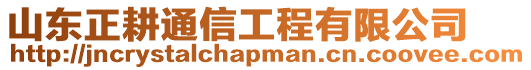 山東正耕通信工程有限公司